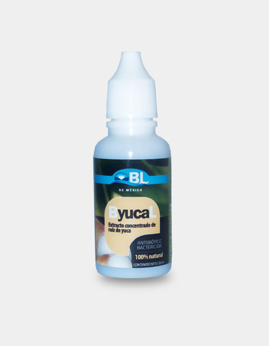 Alimento energético que elimina la  ácidez estomacal formando una capa protectora en el tracto gastrointestinal.Regula el pH intestinal reduciendo la concentración de amoniaco eliminando así gases y flatulencias disminuyendo drásticamente los malos olores  de las heces fecales. Regenera la flora intestinal y cicatriza tubérculos, combate la peritonitis, ulceras gástricas y todo tipo de colitis.<br><br><strong>Indicaciones:</strong><br>Tomar BYucal para la ácidez estomacal, gases y flatulencias intestinales; como auxiliar en el tratamiento de gastritis, agruras, ulceras gástricas internas, mala digestión, cólicos, colitis, inflamación estomacal, regeneración de la flora intestinal, cicatrización  de tuberculos, peritonitis, bilis, hepatitis y mal aliento.
